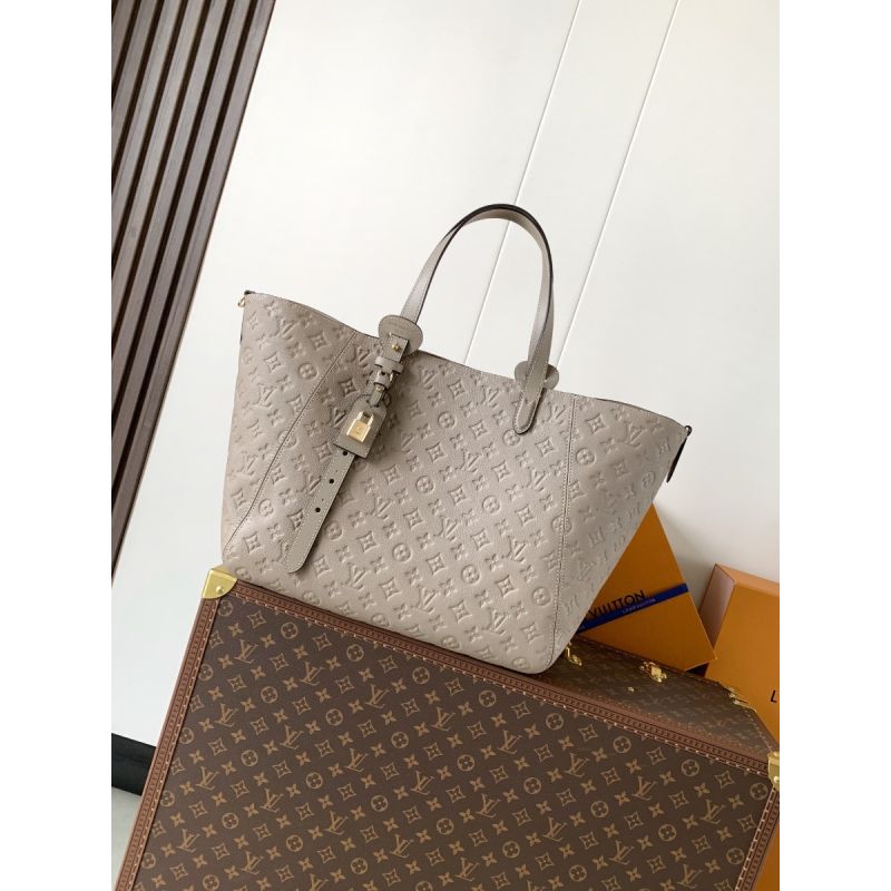 Louis Vuitton Borsa All in One MM 