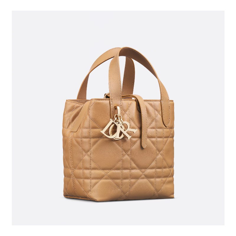 Small Dior Toujours Vertical Tote Bag-Tan